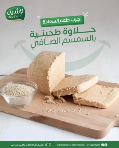 Lashen project cover